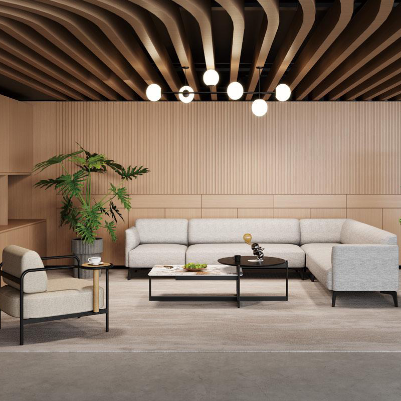 Modern Meeting Lounge Ensemble