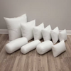 White Duck Feather Down Cushion Inner Wholesale Custom Cushion Inserts Pillow for Hotel Sofa