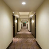 Easy to install removable luxury 5 star hotel Axminster carpet