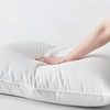 Decorative Cushions Pillow Insert Decorative Comforter Polyester Microfiber Throw Pillows