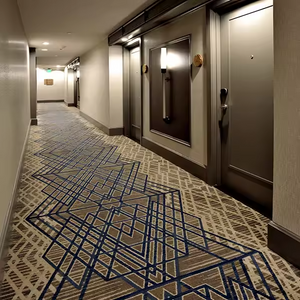 Machine Made Wall-to-Wall Carpet for Hotels Custom Floor and Carpet Design