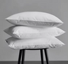 Decorative Hotel Cushion for Sofa Case Pillows Wholesale Feather Cushion Insert